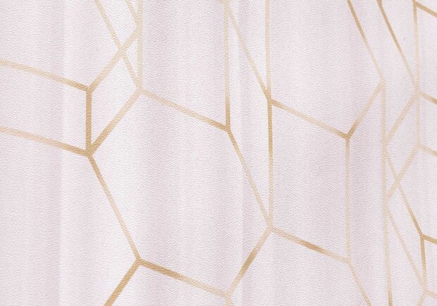 BN Wallcoverings Dimensions 219601 - Roze met goud by Edward van Vliet